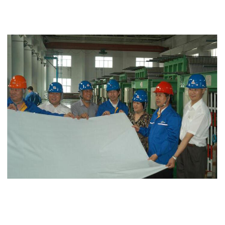 Chlor-alkali-membrane-factory